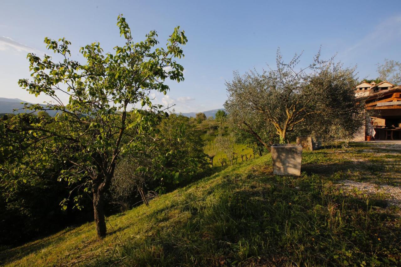 Asolo Norah'S Hill Agri Rooms Monfumo Ngoại thất bức ảnh